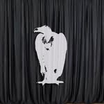 whitevulturefilmfestival profile picture