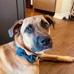whoisgrammy profile picture