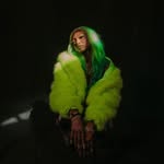 whosaskarii profile picture