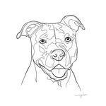 whoucallinbully profile picture