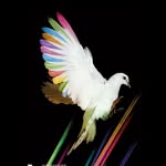 whp_records profile picture