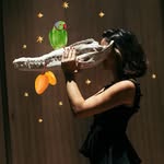 wildandreawild profile picture