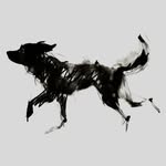 wild_at_heart_foundation profile picture