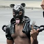 wildcatshadow profile picture