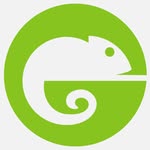 wildeyesa profile picture