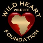 wild_heart_wildlife_foundation profile picture