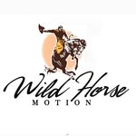 wildhorse_motion_films profile picture
