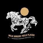 wildhorses.wildplaces profile picture