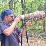 wild_images_of_world profile picture