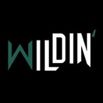 wildin.ind profile picture