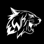 wildkatsports profile picture