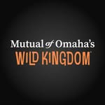 wildkingdomtv profile picture