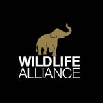 wildlife_alliance profile picture