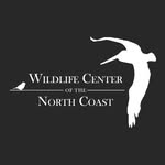 wildlifecenterastoria profile picture