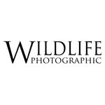 wildlifephotographicmag profile picture