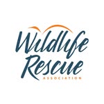 wildliferescuebc profile picture