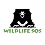 wildlifesos profile picture