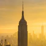 wildnewyork profile picture