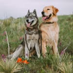 wildontherun profile picture