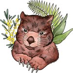 wild_paws profile picture