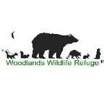 wildrehab profile picture