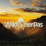 wildsherpas profile picture
