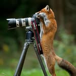 wildsofplanet profile picture