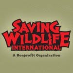wildswi profile picture