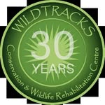 wildtracksbelize profile picture