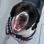 wildwildwesson profile picture