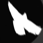 wileynewalbum profile picture