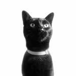 wilhelmina.t.schultz profile picture