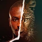 will_gomis profile picture