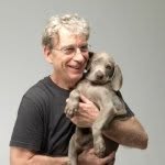 williamwegman profile picture