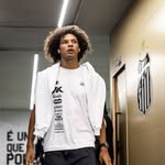 willianarao profile picture