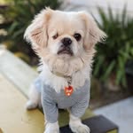 williepartyof4 profile picture