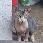 willma_ruhe88 profile picture