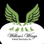 willowswingsanimalsanctuary profile picture