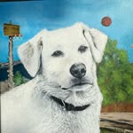 willsurvives profile picture