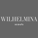 willy.scouts profile picture
