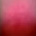 winarickstudios profile picture