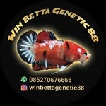 win_betta_88 profile picture