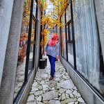 winda.mano profile picture