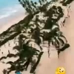 windwardboy80879 profile picture