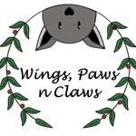wingspawsnclaws profile picture