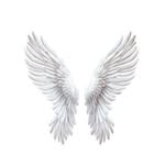 wingsreworn profile picture