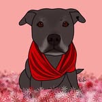 winniethebluestaffy profile picture