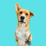 winnie_the_roo_ profile picture