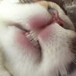 winniethewunderbun profile picture
