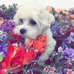 winstontheodore.xv profile picture